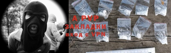 ПСИЛОЦИБИНОВЫЕ ГРИБЫ Верея