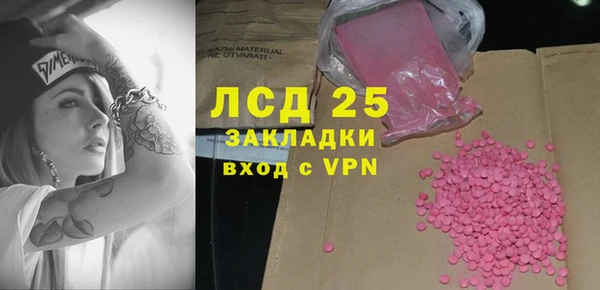 ПСИЛОЦИБИНОВЫЕ ГРИБЫ Верея